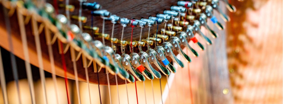 Close up of inside a string instrument